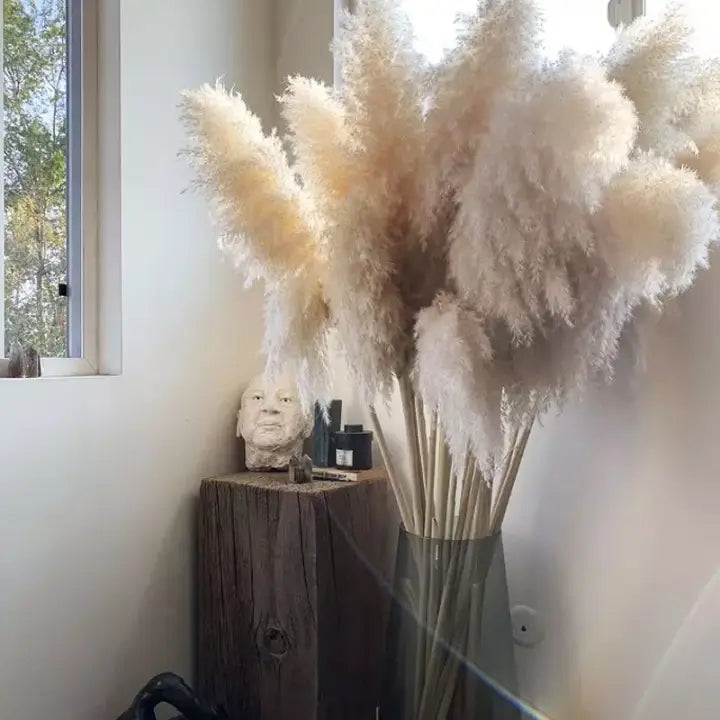 Fluffy Pampas